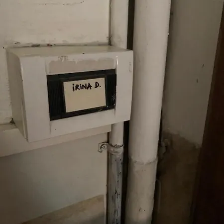 Irina's House